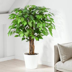 3ft Ficus Artificial Trees with Natural Curved Trunks, 36" Tall Lush Faux Tree for Home Decor Indoor, Green Lifelike Fake Ficus Tree Artificial Plants