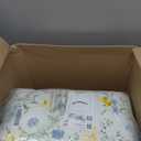 Laura Ashley - King Quilt Set, 100% Soft Cotton Bed Set for Year Round Comfort, 3 Piece Floral Bedding with Matching Pillowcases (Poppy Meadow Blue)