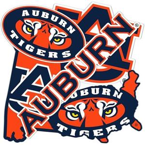 Desert Cactus Auburn University Sticker Tigers War Eagle Sticker Vinyl Decals Laptop Water Bottle Car Sheet T2 (Type 2-4)
