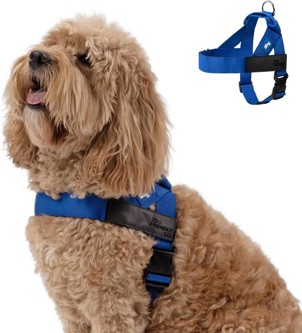 Dog Friendly Co. Dog Harness | Chafe Resistant Webbing, Adjustable Neck & Chest, and Heavy Duty D-Ring | Sturdy, Comfortable, Easy to Use | Classic Blue, Size M