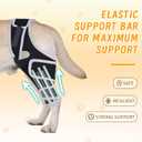 Dog Knee Brace for Acl Injury Recovery, Adjustable, Provides Stable Support for Ligament Strain and Joint Pain, Fits Front or Rear Leg, Ideal for Rehab and Everyday Use, Durable, Comfortable, M (Blck)