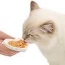Catit Creamy Ceramic Heart Dish, Cat Treat Feeding Dish