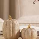 Fall Thanksgiving Pumpkin Decor Figurines, 2 PCS Fake Pumpkin Statues for Tabletop Decorating, White and Gold Resin Pumpkins for Autumn Harvest Luxury Fall Home Decor, Farmhouse, Gift Package (Set of 2)