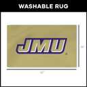 Northwest NCAA Logo Washable Rug 36x62 inches