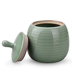 Amoysanli Kitchen Canisters Vintage Ceramic Food Storage Jar with Airtight Lid for Tea, Coffee, Herb, Sugar, Spice, Nuts (Green(ICE))