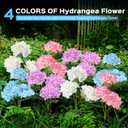 TANSOREN 6 Pack Solar Garden Lights Outdoor, Colorful LED Waterproof Solar Powered Hydrangea Flowers Landscape Lights for Outside Yard, Patio, Pathway Decorative, Décor, Two Lighting Modes