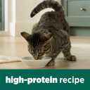 Purina Cat Chow Naturals Hairball, Indoor Dry Cat Food, 13 lb Bag (EXP 02/01/28)