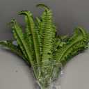 Dkaltm Artificial Boston Fern Bush- Set of 2 Large Artificial Ferns for Outdoors, 45Inch Large Faux Ferns, Suitable for Office & Living Room Decor, 55Branches for Each Bouquet
