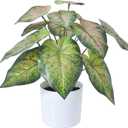 Fake Plants Artificial Caladium Plants Indoor, 15.7 Inch Samll Artificial Plants with Red Leaves, Potted Faux Plants for Desk Shelf Office Room Decoration1Pack
