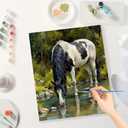 Animal Paint by Numbers Kit for Adults - DIY Horse at Forest Stream Painting on Canvas, Acrylic Paint Set, Suitable for Beginners, Art for Home Decoration or Gifts(12X16IN Framed)
