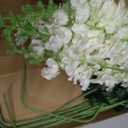 White Delphinium Artificial Flowers,8PCS Long Stem Silk Larkspur Flowers 33.5'' Faux Delphinium Stems for Tall Vase Home Wedding Table Decor(White)
