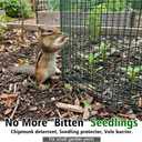 8 Pack Plant Protectors from Animals with 0.55" Fine Mesh, 12" x 16" Metal Wire Plant Cages for Seedlings, Garden Protectors to Keep Small Critters Out, 24 Panels with Zip Ties & Stakes