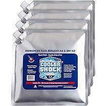 Premium Ice Pack Replaces Ice &Dry Ice 4 Pack