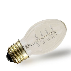 EDISON BULB 1 Bulb 40 Watt