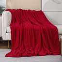 JIAHANNHA Red Throw Blanket Decorations Thin Fleece Blanket 50"x60",Super Soft Cozy Plush Throw Blanket for Couch Sofa Bed,Warm and Lightweight Bed Blankets for Adults