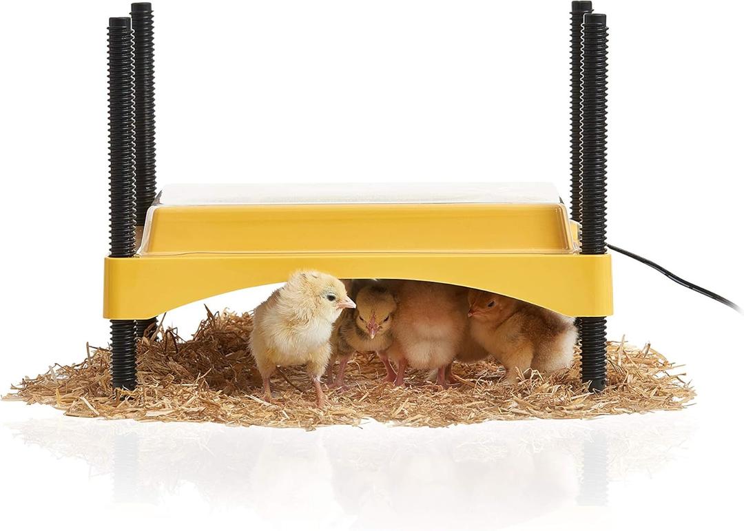 Brinsea Ecoglow Safety 600 Chick or Duckling Brooder, Adjustable Height & Angle Brooder Plate for 20 Chicks, Ideal for Chicken Coops Poultry Heating with Safety Indicator, 12 Watts