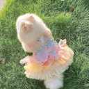 Rainbow Butterfly Dog Dresses for Small Dog Girl Puppy Lace Tutu Princess Dress Cat Outfit Pet Butterfly Costume for Kitten Chihuahua Yorkie Pomeranian (Pink, X-Large)