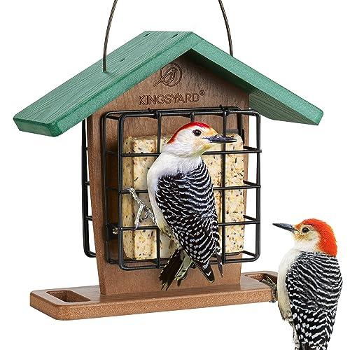 Kingsyard Recycled Plastic Double Suet Feeder with Rainproof Roof & Perch, Cage Suet Bird Feeders for Outdoors Hanging, Great for Woodpecker, Chickadee, Nuthatch (Green)