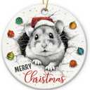 4 x Hamster Ornaments for Christmas Tree Decorations 2025, Unique Animal Lover Gifts for Women Men, Ceramic Ornaments Gift for Hamster Lovers, Xmas Gifts for Christmas Hanging Decorations