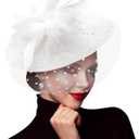 DRESHOW Fascinators Hat Mesh Veil Feathers Hat with a Headband and a Clip Tea Party Headwear for Women (Folded Style 1: White / 7.9")