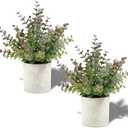 1 Pack Small Fake Plants Christmas Plants Eucalyptus Potted Artificial Plants for Home Indoor Fireplace Mantel Shelf Desk Home Bathroom Farmhouse Room Coffee Christmas Table Decor Xmas Decor (Purple)