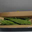 Fake Ferns, 35IN Large Fake Bush Plants, 2 Artificial Boston Ferns with 39 Fronds for Outdoor Hanging Planter Garden Porch Entrance Home Decor