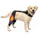 Dog Knee Brace for Torn ACL & Post Surgery Recovery - Hind Leg Support with Patented Double Strap System & Flexible Splints, Relieves Lameness & Arthritis Pain for Small to Medium Dogs (M)15-40LB