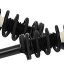 ECCPP 2pcs Rear Pair Complete Strut Assembly Shock Absorber for 2012 2013 2014 2015 2016 for Honda CR-V