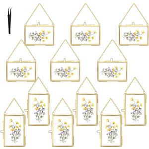 12 Pcs Double Glass Frame for Pressed Flowers,Floating Hanging Photo Christmas Ornaments Frame Brass Frames with Chain for Wall Display Gallery Artwork,Clear Vertical Horizontal Display for Botanical Art,Picture,Stamps,Gallery Decor,Gold