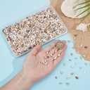 PH PandaHall 1400-1500pcs Tiny Sea Shells 7-12mm Tiny Crushed Shells Miniature Shell NO Hole Seashells Ocean Spiral Seashells for Resin Crafting Candle Home Party Wedding Fish Tank Vase Filler