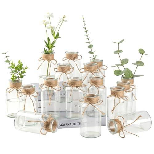 16 Glass Bud Vases 6.4“ H, Mason Jars Transparent Centerpiece Vases with Hemp Rope for Weddings Parties Farmhouse Decor