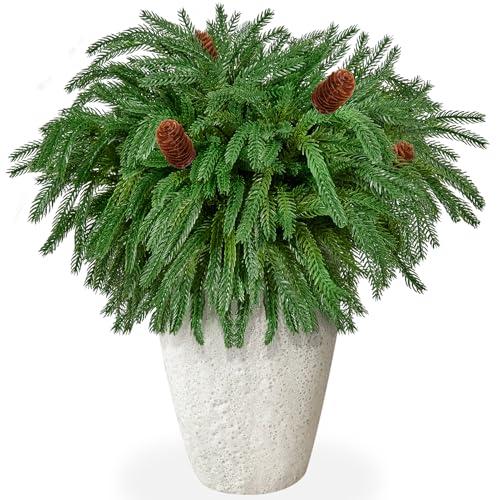 60Pcs Christmas Norfolk Pine Branches with Pine Cones,Realistic Norfolk Pine Stems Artificial Pine Branch Christmas Greenery Picks Needles Sprigs for Vase DIY Craft Xmas Wreath Garland Home Decor