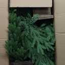 Jin&Bao 4FT Potted Christmas Tree with 100 Lights, 2 Pack Artificial Xmax Tree Timer Function with Long Pine Cones & Red Berries, 3AA Battery Operated Christmas Decorations for Outdoor, Porch