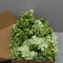 50 Pcs Faux Green Mix Hydrangea Artificial Flowers Bulk, Fake Silk Hydrangea Flowers Heads with Stems for Wedding Decorations Garden Party Baby Shower Porch Home Decor Table Centerpieces