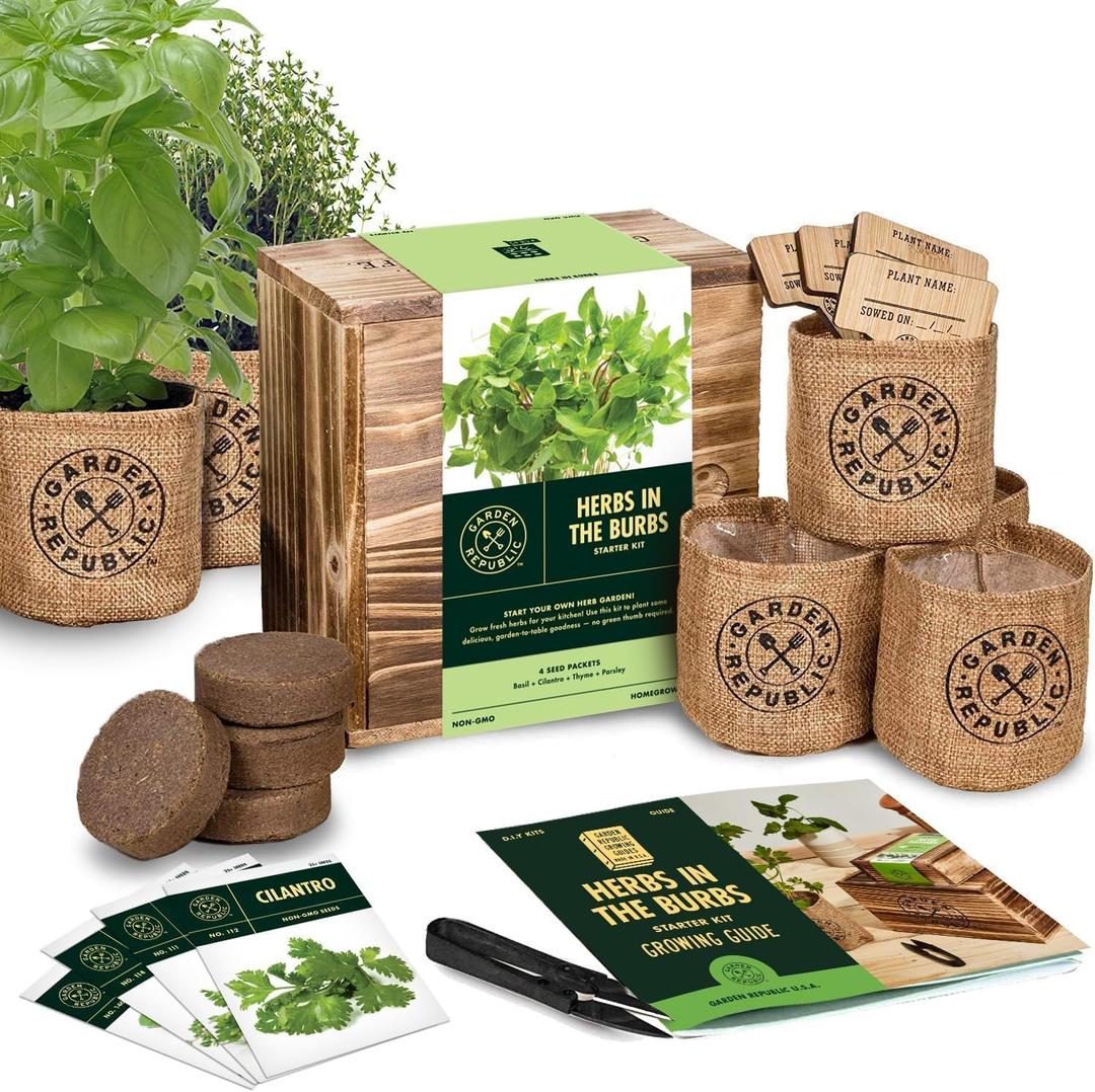 Indoor Herb Garden Starter Kit - Heirloom, Non-GMO Herb Seeds - Basil Thyme Parsley Cilantro Seed, Potting Soil, Pots, Scissors - DIY Grow Kits for Growing Herbs Indoors, Kitchen, Balcony, Window Sill (EXP 08/18/26)