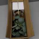 Briful Artificial Eucalyptus Stems in Glass Vase with Faux Water, 14" Fake Plant Eucalyptus Leaves for Home Bathroom Office Farmhouse Wedding Centerpiece Dcor (Clear)