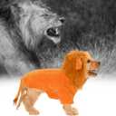 DELIFUR Dog Halloween Lion Costume - Adorable Pet Dress Up Clothes Animal Warmth Cosplay Holiday Coat for Small and Medium Dog Funny Outfit Comfort (Orange Lion, Large)