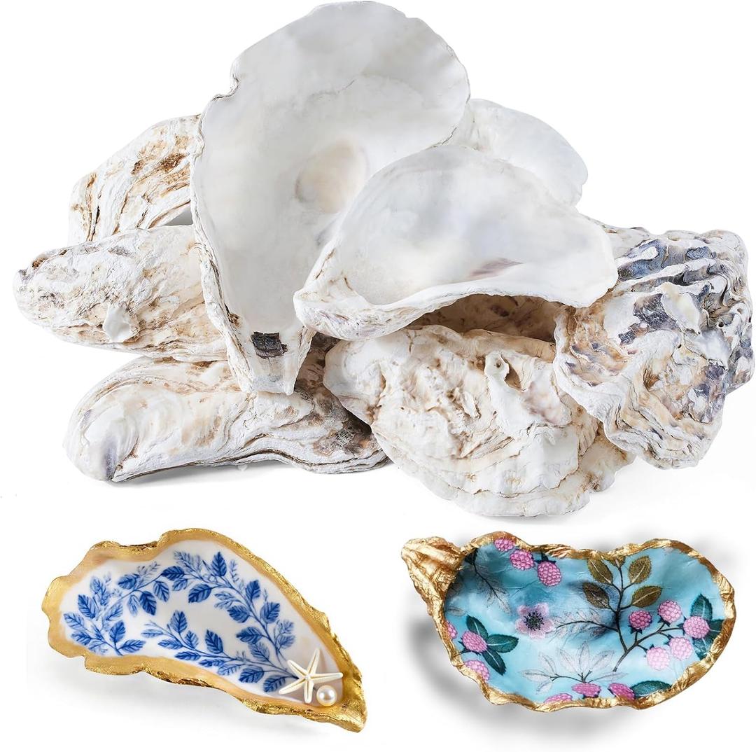 12 Pcs Natural Oyster Shells for Crafts, 5-6 inch Extra Large Seashells for Crafting, Shell Painting, Beach Wedding & Christmas Decor, Vase Filler, DIY Home Decor, Craft Shells