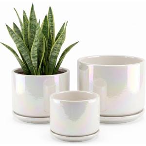 EFISPSS Plant Pots, 4+5+6 Inch Pots for Indoor Plants,Ceramic Planter Pot with Drainage Hole,Flower Pots for Succulent Cactus,Set of 3 - Rainbow Pearl Glaze