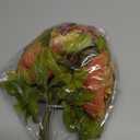 Duovlo Fake Flowers Vintage Artificial Peony Silk Flowers Wedding Home Decoration,Pack of 1 (Coffee) (20.87*3.5)