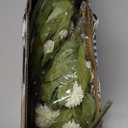 VIERENA 12 Pcs Faux Silk Pompon Mum Artificial Flowers for Vase -27", Bulk Fake Chrysanth Branches with Stems for DIY Bouquet Centerpieces Wedding Fillers Arrangements Shower Decorations (Cream)