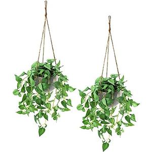 TNNTOPELE Hanging Plant Fake Plants with Pots, 1 Pack Artificial Plants, Faux Anthurium Leaf Basket for Wall Home Room Indoor Outdoor Decor
