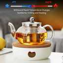 Glass Teapot with Removable Infuser, 20 oz/600ml Glass Tea Pot Small Borosilicate Tea Steeper Kettle with Loose Leaf Tea Strainer For Flower Blooming Tea, ClearTea Maker Pitcher
