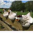 Funny Farm Chickens Statues,Cute Chicken Fence Decoration,Resin Chickens Decor,Outdoor Real Animal Statue,Chicken Sculpture,Perfect for Home Garden Stairs,Farm,Patio,Backyard (White Red)