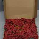 Red Hydrangea Artificial Flowers Bulk, 40 Pcs Faux Hydrangea Flowers Heads, Artificial Fake Silk Hydrangea Flowers with Stems, Red Flowers Artificial for Decoration Wedding Dcor