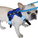 Blind Dog Harness Guiding Device,Blind Dog Halo,Pet Anti-Collision Ring for Protective&Build Confidence,Blind Dog Accessories (S)