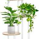 4 Tier White Metal Wooden Tall Plant Stand Indoor Shelf Flower Pot Holder for Multiple Plants, Corner Display Rack for Living Room Balcony Patio Garden