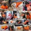 Jecikelon Winter Dog Hoodie Sweatshirts with Pockets Warm Dog Clothes for Small Dogs Chihuahua Coat Clothing Puppy Cat Custume (Orange, XX-Small)