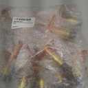 XFITTING 1/2 in x 8 in Stub Out Straight with Flange, 10 Pieces