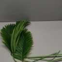 6 pcs Artificial Palm Leaves Branches for Palm Sunday Faux Fake Palms Frond Plant Artificial Tropical Plants for Floral Arrangement Hawaiian Luau Jungle Beach Wedding Party (Green) 